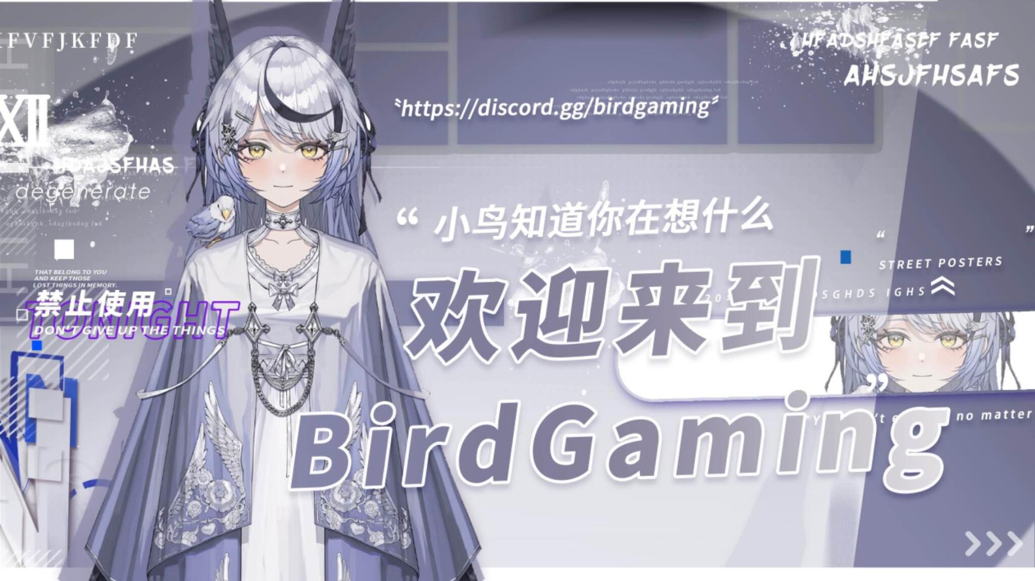 Discovery splash banner for 小鸟知道你在想什么 Discord server