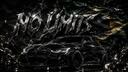 Discovery splash banner for No Limits Discord server
