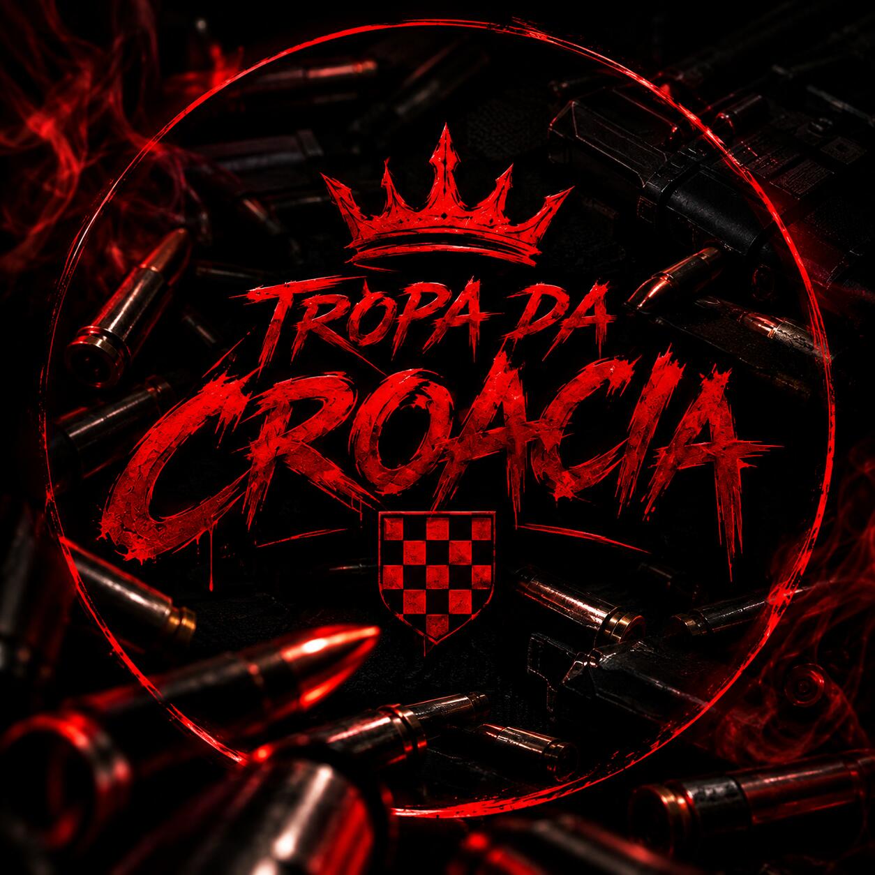Discovery splash banner for TROPA DA CROACIA #MelhorFacDaFluxo Discord server