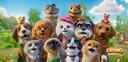 Discovery splash banner for CatDog World: After Humans Discord server