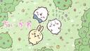 Discovery splash banner for Chiikawa Land Discord server