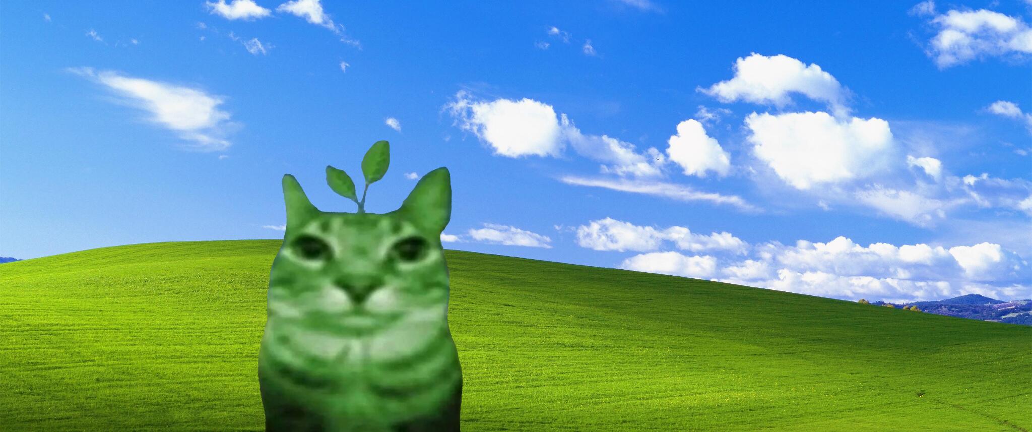 Discovery splash banner for plant's stuff Discord server