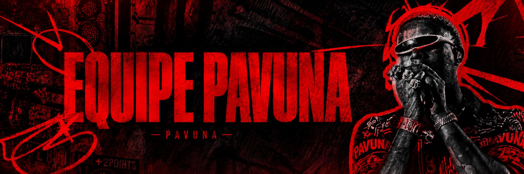 Discovery splash banner for 🇦🇱〃Pavuna2k / FiveM Discord server