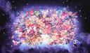 Discovery splash banner for 餅乾基地Cookie Base Discord server