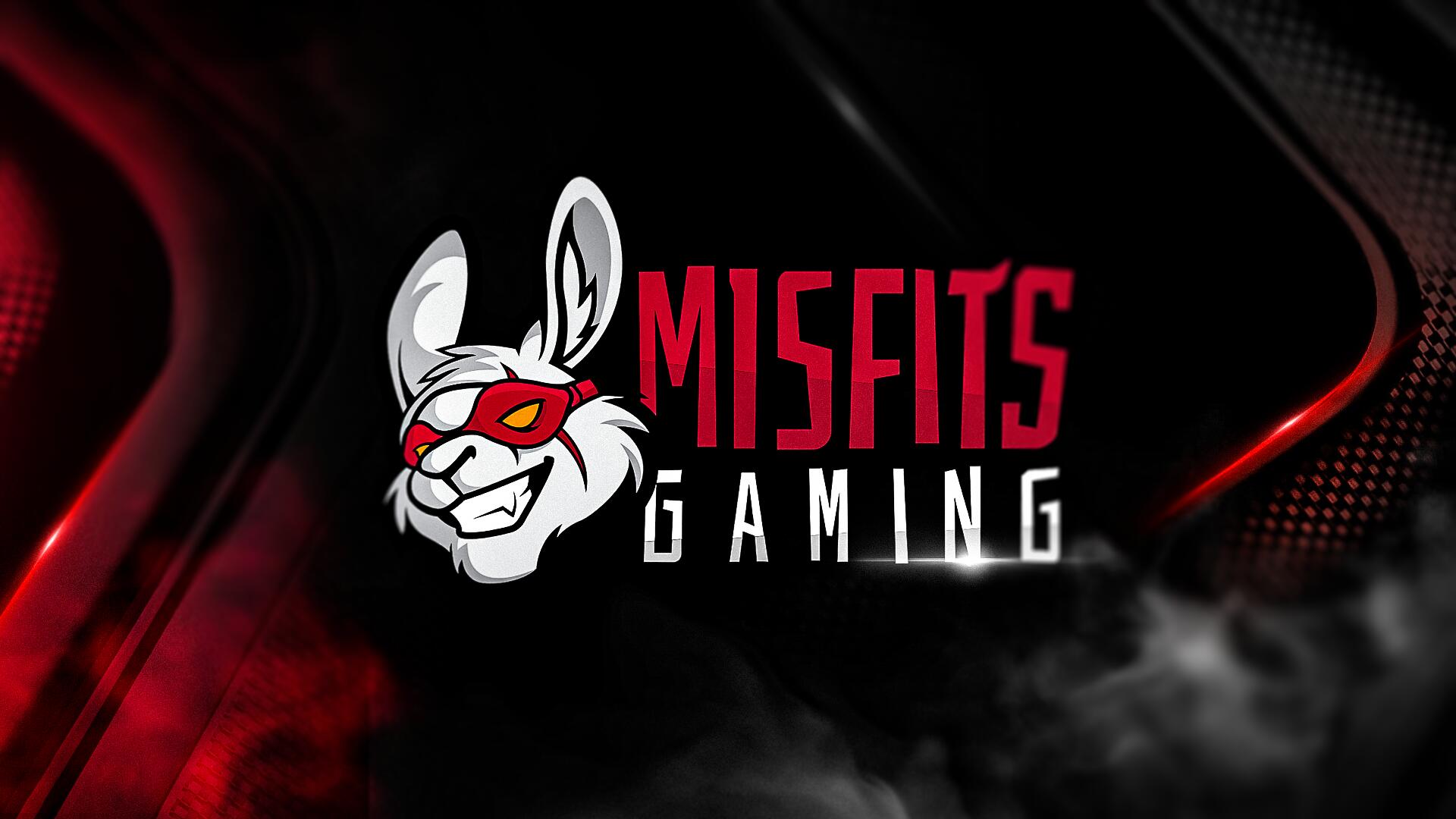Discovery splash banner for Misfits Gaming Not Dayz Discord server