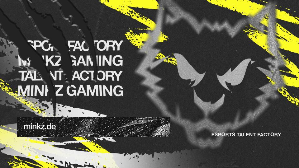 Discovery splash banner for MINKZ Gaming Discord server