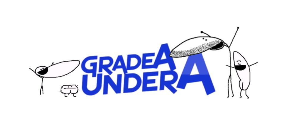 Discovery splash banner for Official GradeAUnderA Discord server