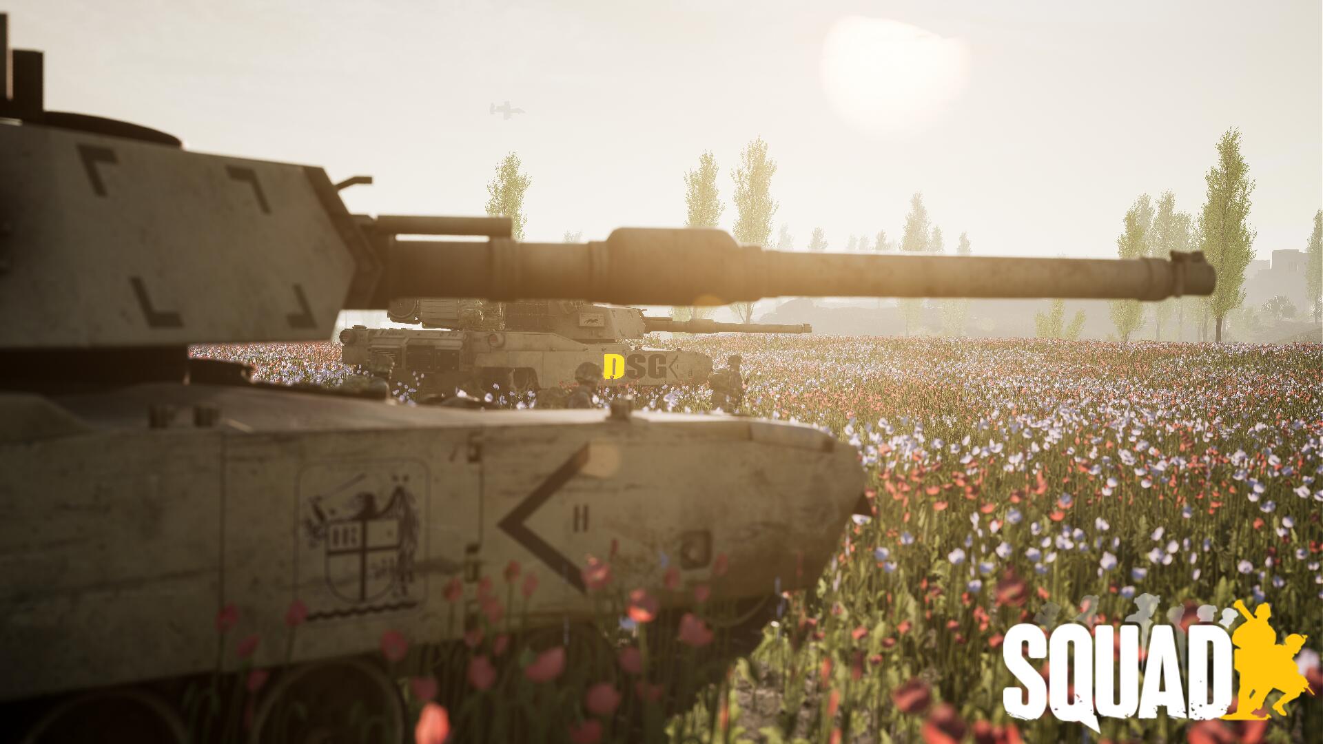 Discovery splash banner for -DSG- Deutsche Squad Gemeinschaft- Discord server