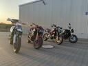 Discovery splash banner for RidersHub Germany Discord server