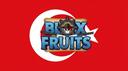 Discovery splash banner for Blox Fruits Türkiye Discord server