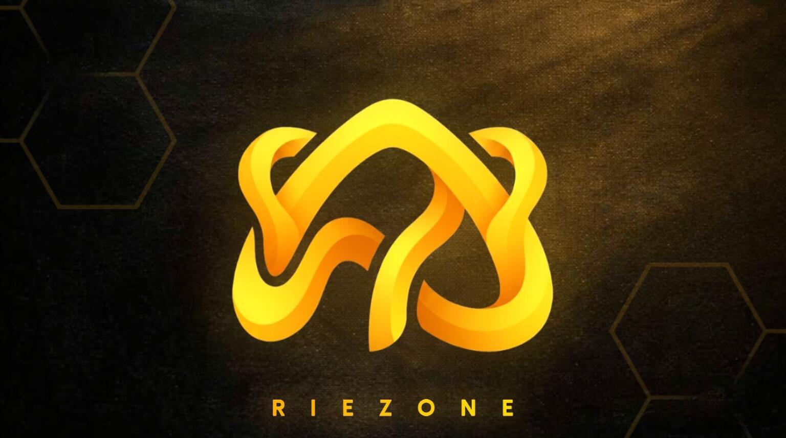 Discovery splash banner for Riezone 1.3k Discord server