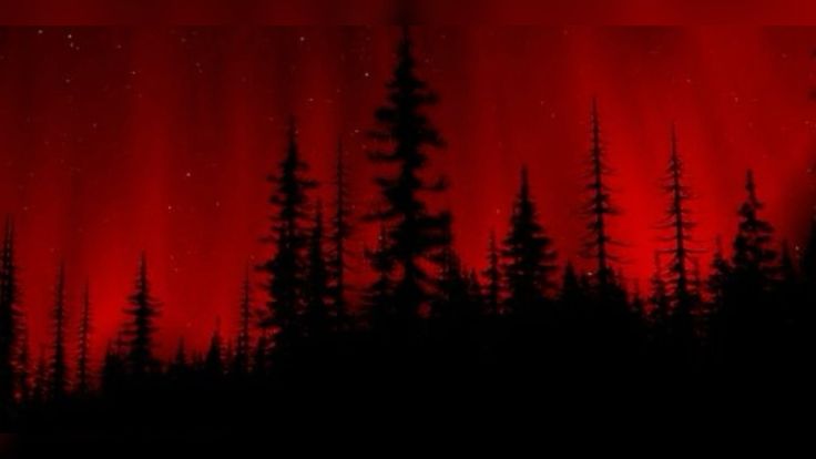 Discovery splash banner for { 𝐌𝐈𝐃𝐍𝐈𝐆𝐇𝐓 } Discord server