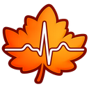 Discovery icon for Maple Hospital Discord server