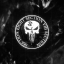 Discovery icon for SECTION EIGHT Discord server
