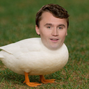 Discovery icon for Duckirk Haven 🦆 | DUCK TAG Discord server