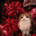 Discovery icon for 🥀 ﹒ 𝑨kii x Meowl あきい Discord server
