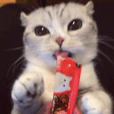 Discovery icon for ๐ฉ ๐ ๐
๐๐ฆ๐๐จ๐ฒ ๐๐๐๐ ๐๐ฉ๐๐๐ Discord server