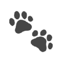 Discovery icon for puppygirl central 🐾🦴 Discord server