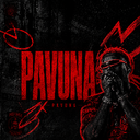 Discovery icon for 🇦🇱〃Pavuna2k / FiveM Discord server