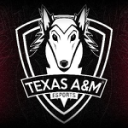 Discovery icon for Texas A&M Esports Discord server