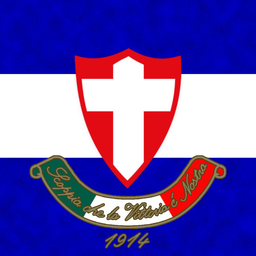 Discovery icon for Palmeiras • 112 Anos Discord server